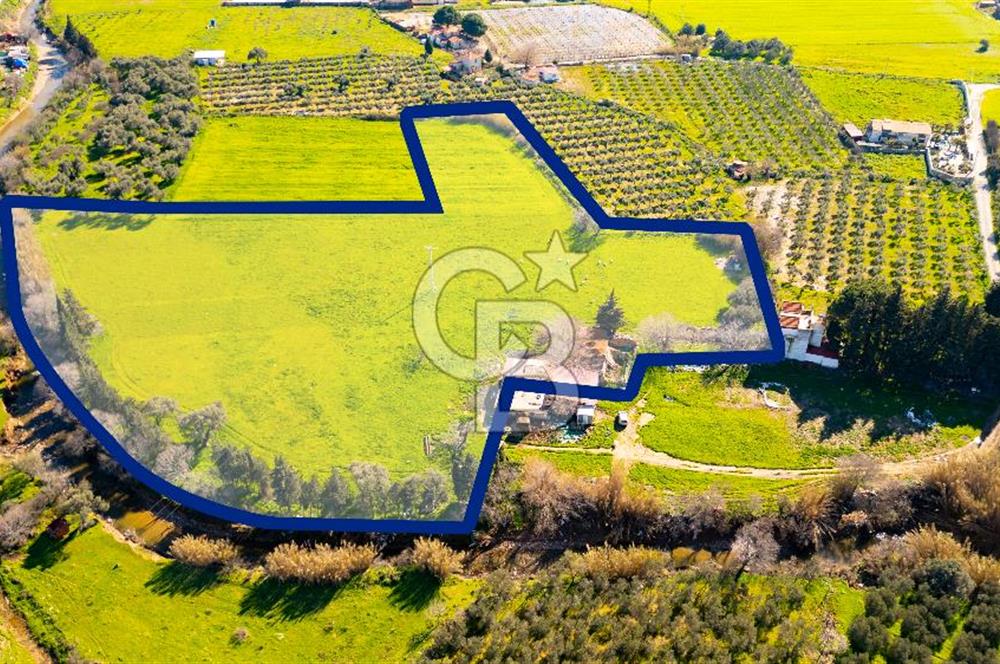 Foça Yenibağarası Mah. Satılık 18 Dönüm Tarla