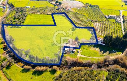 Foça Yenibağarası Mah. Satılık 18 Dönüm Tarla