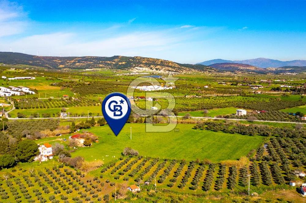 Foça Yenibağarası Mah. Satılık 18 Dönüm Tarla