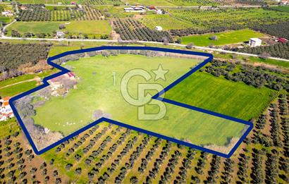 Foça Yenibağarası Mah. Satılık 18 Dönüm Tarla