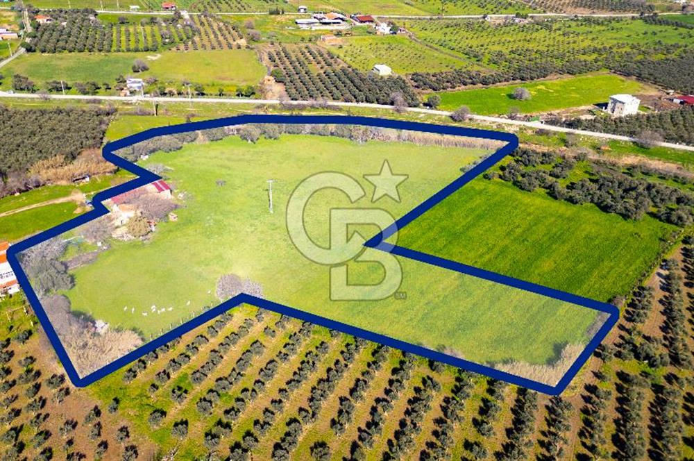 Foça Yenibağarası Mah. Satılık 18 Dönüm Tarla