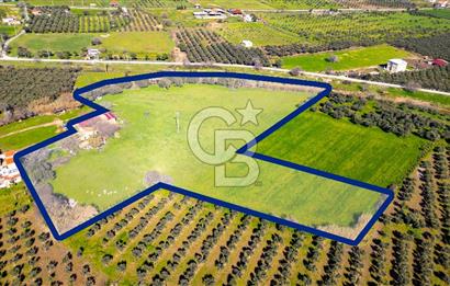 Foça Yenibağarası Mah. Satılık 18 Dönüm Tarla