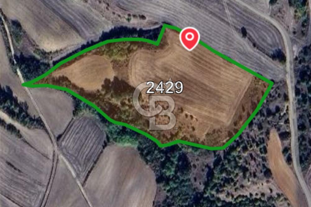 Kırklareli Babaeski Yeniköy’de 28.000 m² Çiftlik Kurmaya Uygun Verimli Tarla