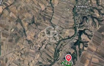 Kırklareli Babaeski Yeniköy’de 28.000 m² Çiftlik Kurmaya Uygun Verimli Tarla