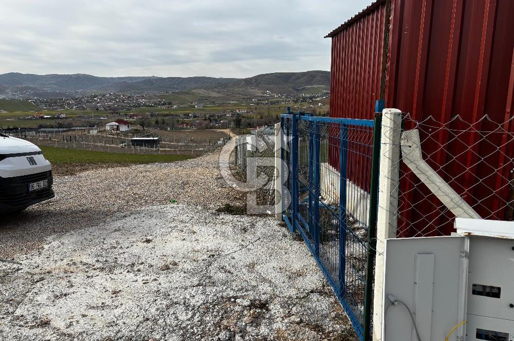 PURSAKLAR SİRKELİ'DE İMARA YAKIN TARLA