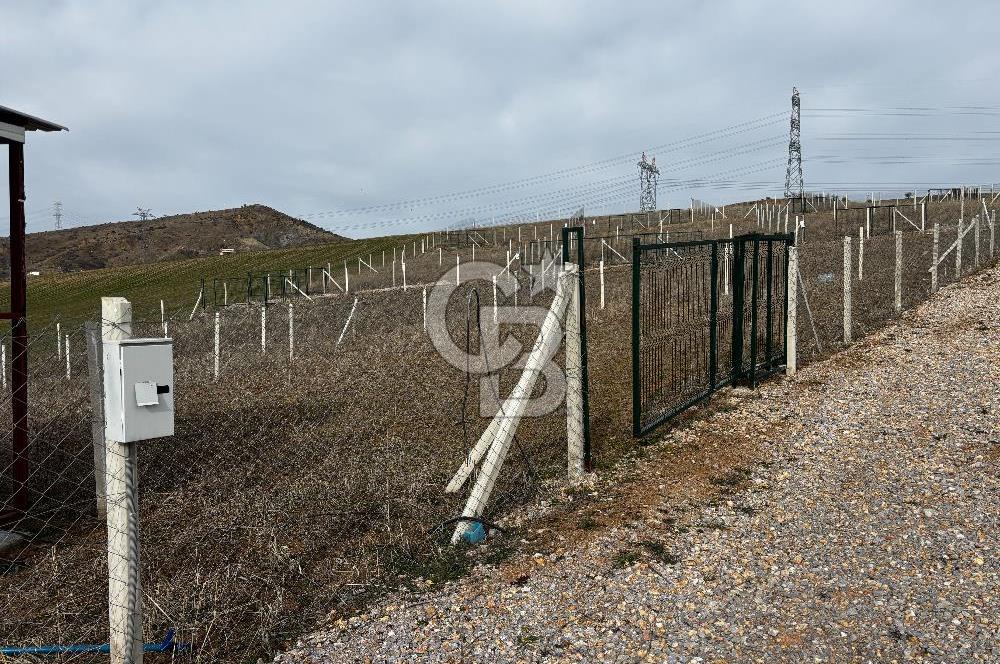 PURSAKLAR SİRKELİ'DE İMARA YAKIN TARLA