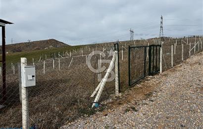PURSAKLAR SİRKELİ'DE İMARA YAKIN TARLA