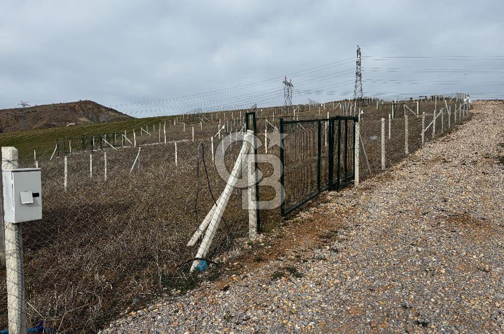 PURSAKLAR SİRKELİ'DE İMARA YAKIN TARLA