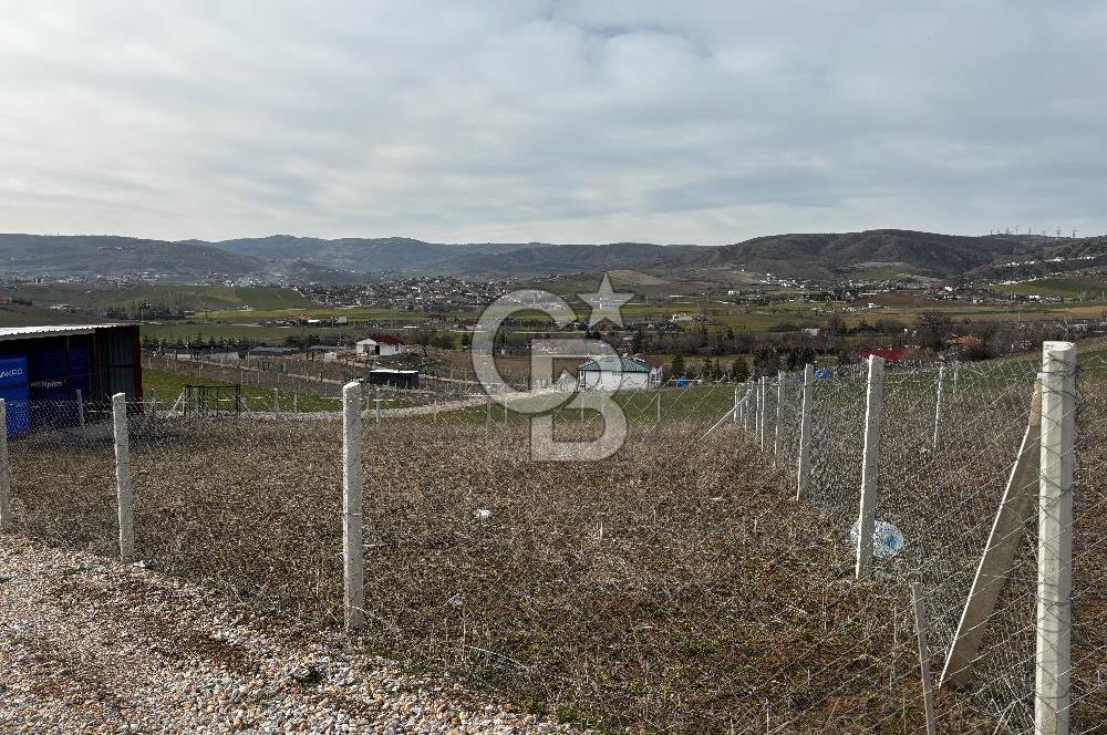 PURSAKLAR SİRKELİ'DE İMARA YAKIN TARLA