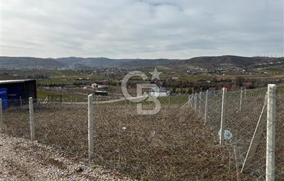 PURSAKLAR SİRKELİ'DE İMARA YAKIN TARLA