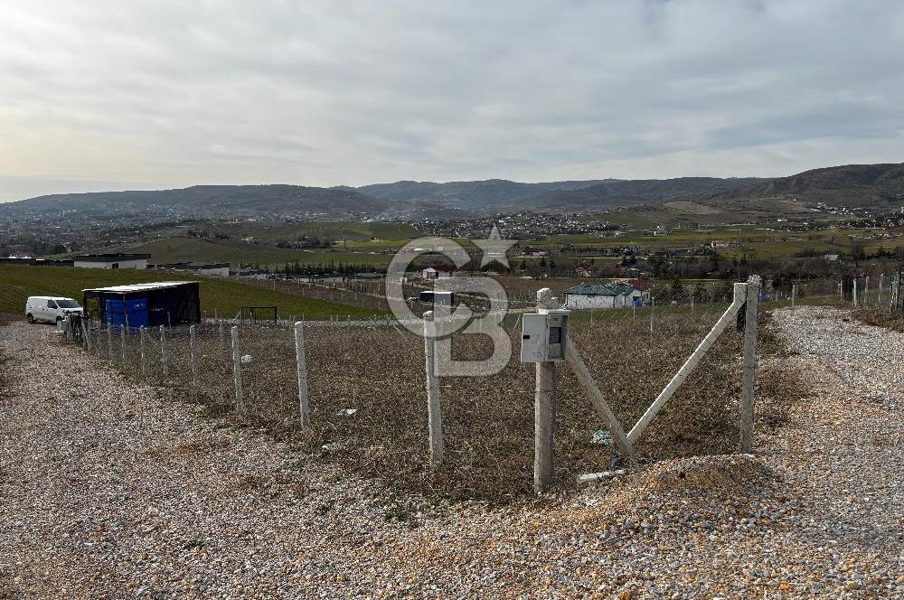 PURSAKLAR SİRKELİ'DE İMARA YAKIN TARLA