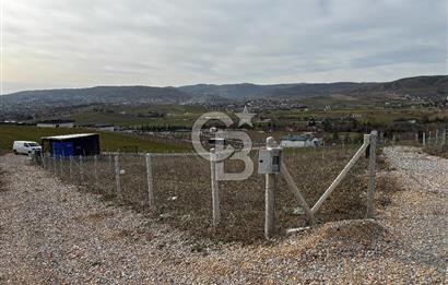 PURSAKLAR SİRKELİ'DE İMARA YAKIN TARLA