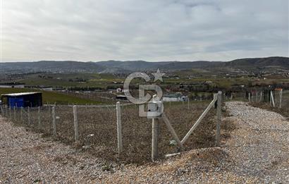 PURSAKLAR SİRKELİ'DE İMARA YAKIN TARLA