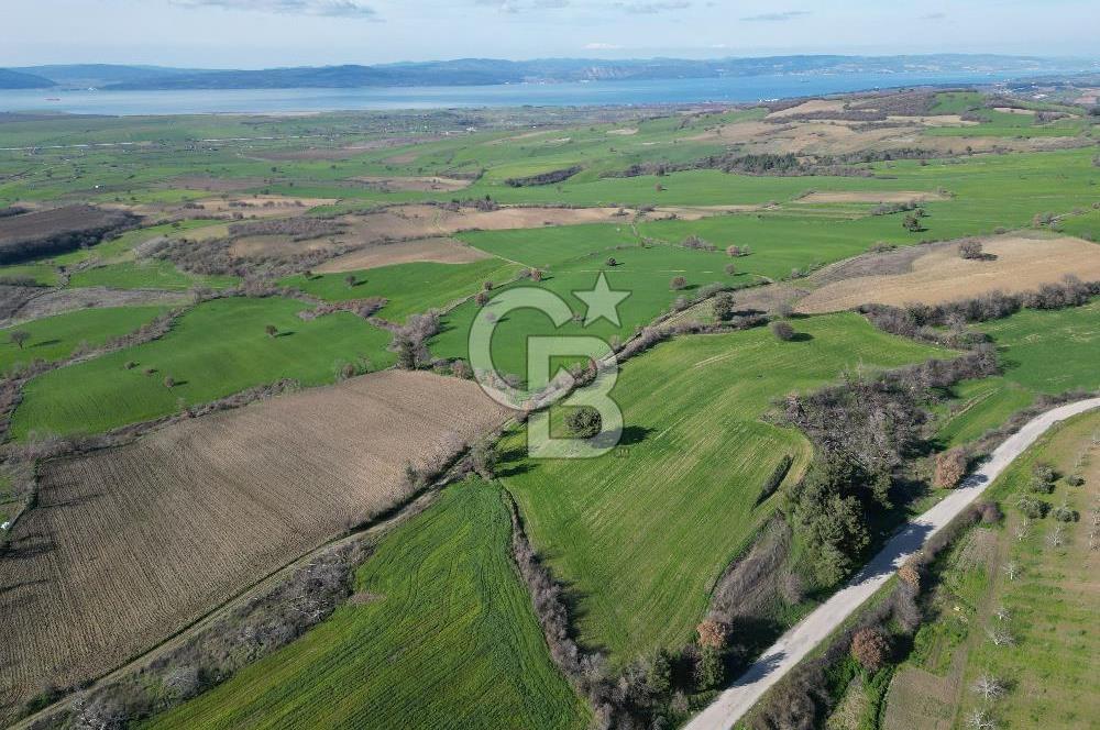 ÇANAKKALE KEMEL KÖYÜNDE BOĞAZ MANZARALI SATILIK 12 DÖNÜM TARLA