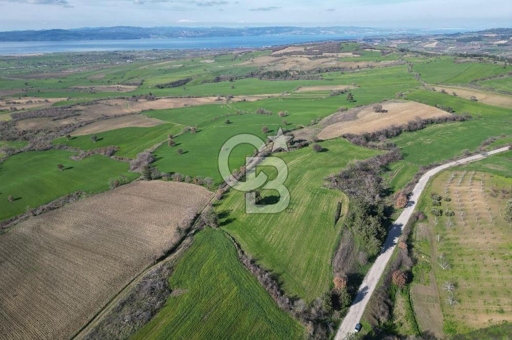 ÇANAKKALE KEMEL KÖYÜNDE BOĞAZ MANZARALI SATILIK 12 DÖNÜM TARLA