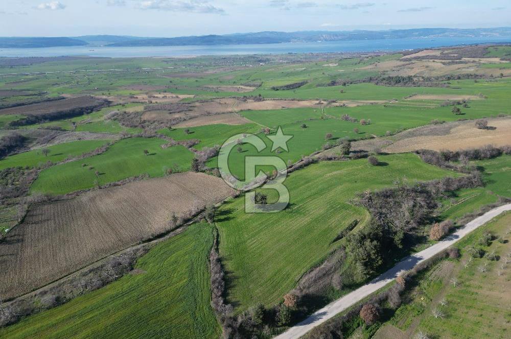 ÇANAKKALE KEMEL KÖYÜNDE BOĞAZ MANZARALI SATILIK 12 DÖNÜM TARLA