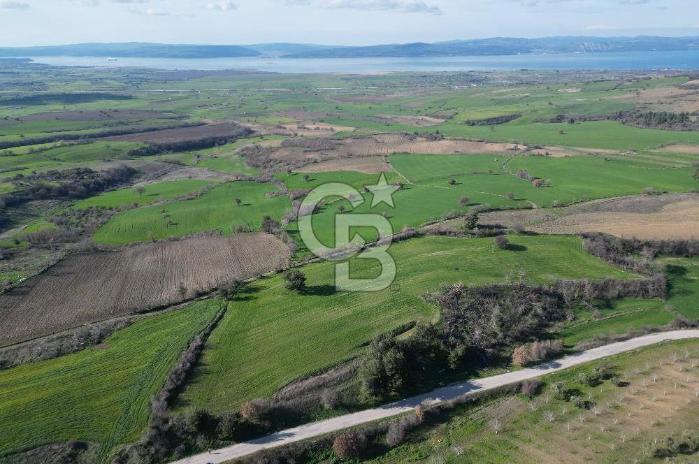 ÇANAKKALE KEMEL KÖYÜNDE BOĞAZ MANZARALI SATILIK 12 DÖNÜM TARLA