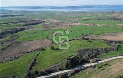 ÇANAKKALE KEMEL KÖYÜNDE BOĞAZ MANZARALI SATILIK 12 DÖNÜM TARLA