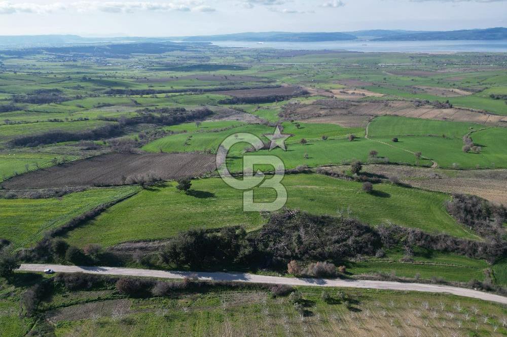 ÇANAKKALE KEMEL KÖYÜNDE BOĞAZ MANZARALI SATILIK 12 DÖNÜM TARLA