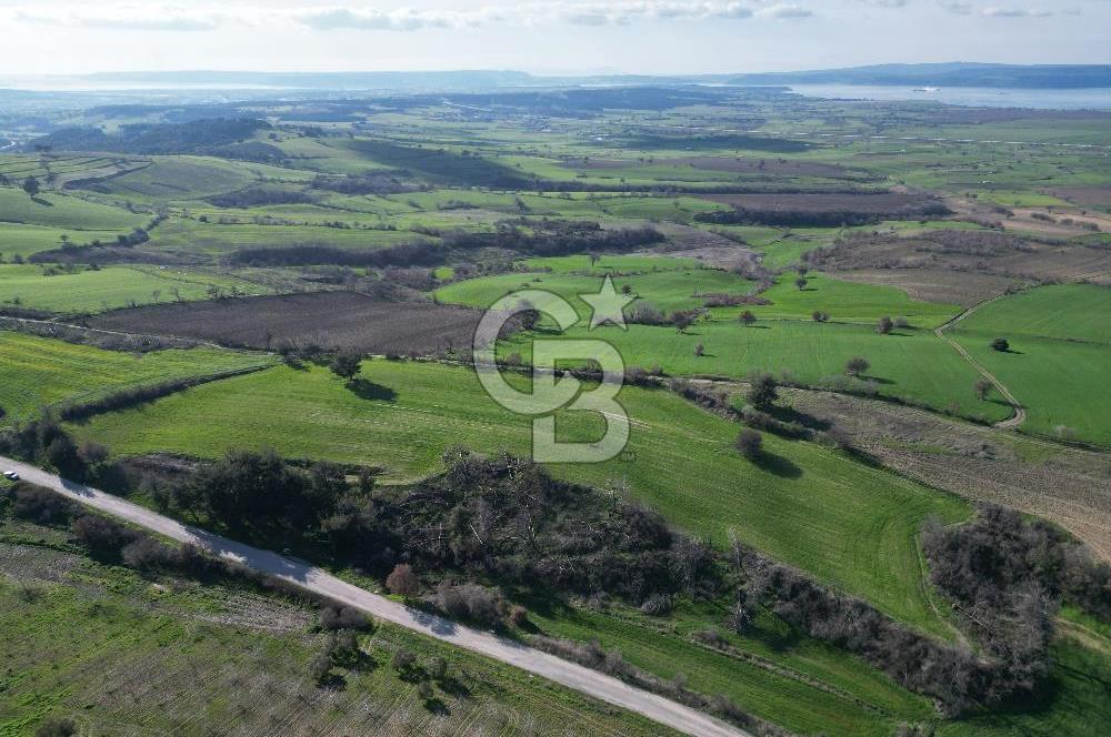 ÇANAKKALE KEMEL KÖYÜNDE BOĞAZ MANZARALI SATILIK 12 DÖNÜM TARLA