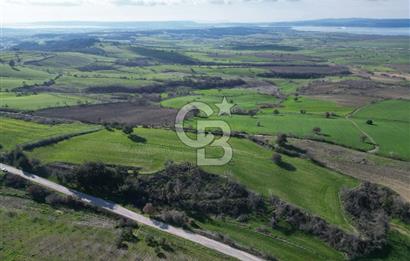 ÇANAKKALE KEMEL KÖYÜNDE BOĞAZ MANZARALI SATILIK 12 DÖNÜM TARLA