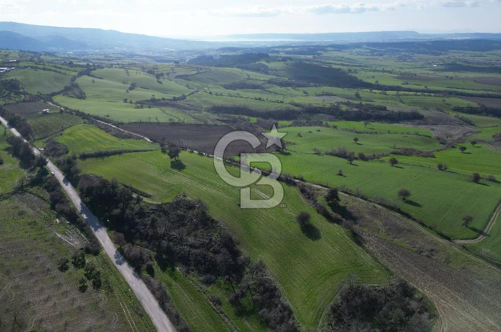ÇANAKKALE KEMEL KÖYÜNDE BOĞAZ MANZARALI SATILIK 12 DÖNÜM TARLA