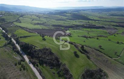 ÇANAKKALE KEMEL KÖYÜNDE BOĞAZ MANZARALI SATILIK 12 DÖNÜM TARLA