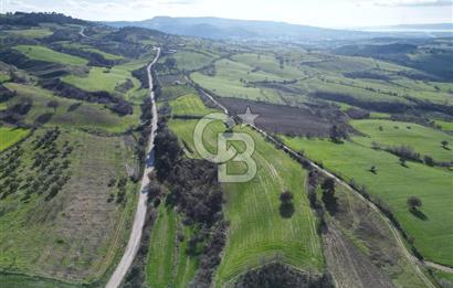 ÇANAKKALE KEMEL KÖYÜNDE BOĞAZ MANZARALI SATILIK 12 DÖNÜM TARLA