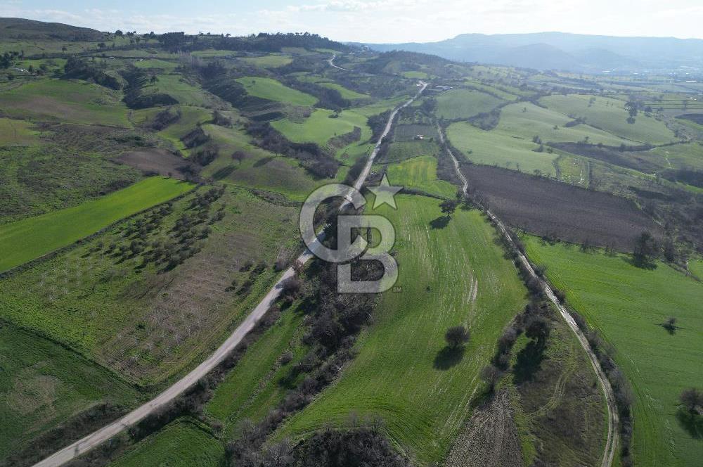 ÇANAKKALE KEMEL KÖYÜNDE BOĞAZ MANZARALI SATILIK 12 DÖNÜM TARLA