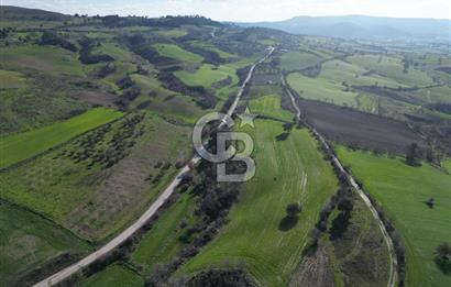 ÇANAKKALE KEMEL KÖYÜNDE BOĞAZ MANZARALI SATILIK 12 DÖNÜM TARLA