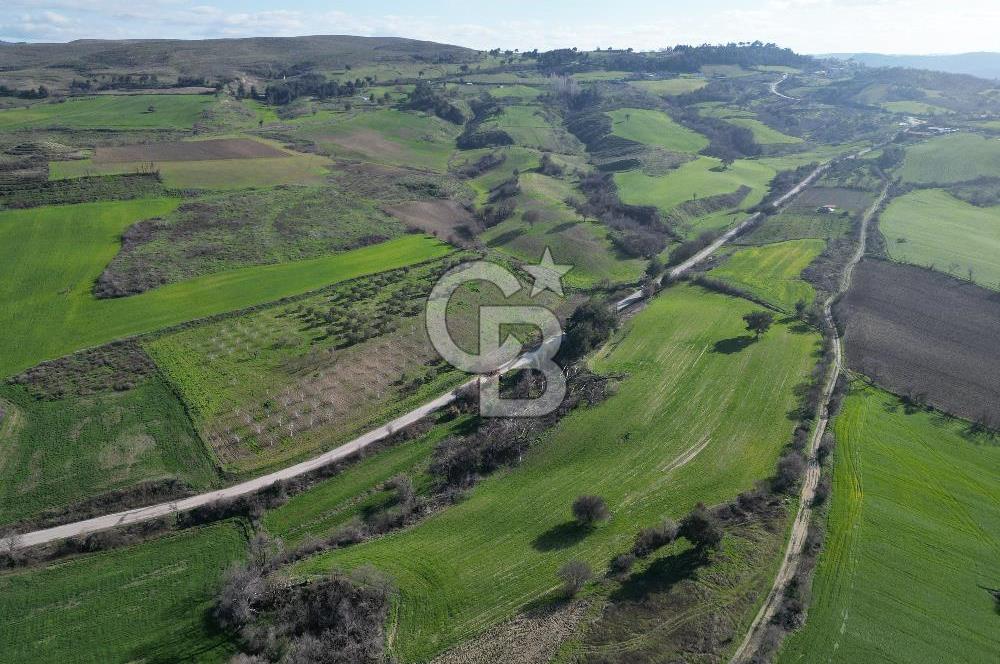 ÇANAKKALE KEMEL KÖYÜNDE BOĞAZ MANZARALI SATILIK 12 DÖNÜM TARLA