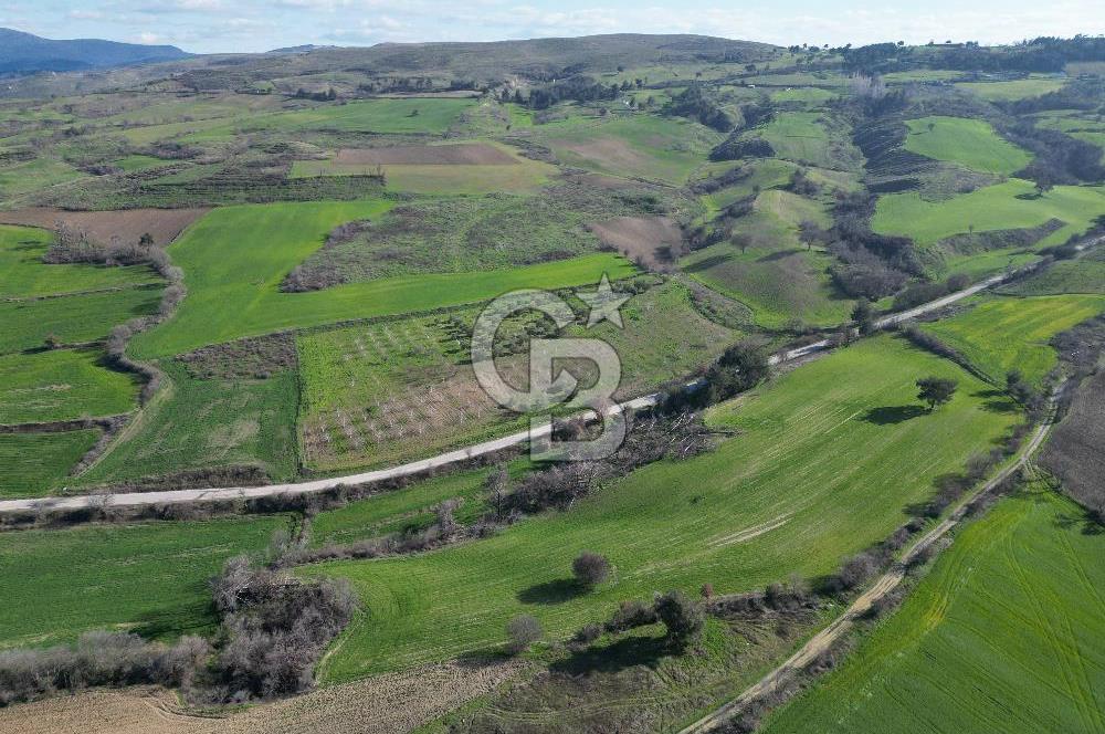 ÇANAKKALE KEMEL KÖYÜNDE BOĞAZ MANZARALI SATILIK 12 DÖNÜM TARLA