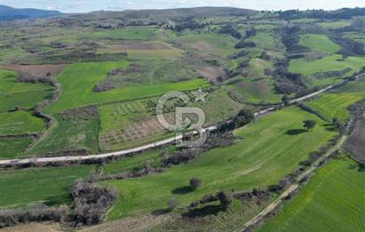 ÇANAKKALE KEMEL KÖYÜNDE BOĞAZ MANZARALI SATILIK 12 DÖNÜM TARLA