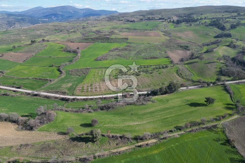 ÇANAKKALE KEMEL KÖYÜNDE BOĞAZ MANZARALI SATILIK 12 DÖNÜM TARLA