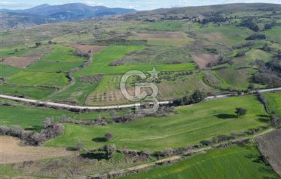 ÇANAKKALE KEMEL KÖYÜNDE BOĞAZ MANZARALI SATILIK 12 DÖNÜM TARLA