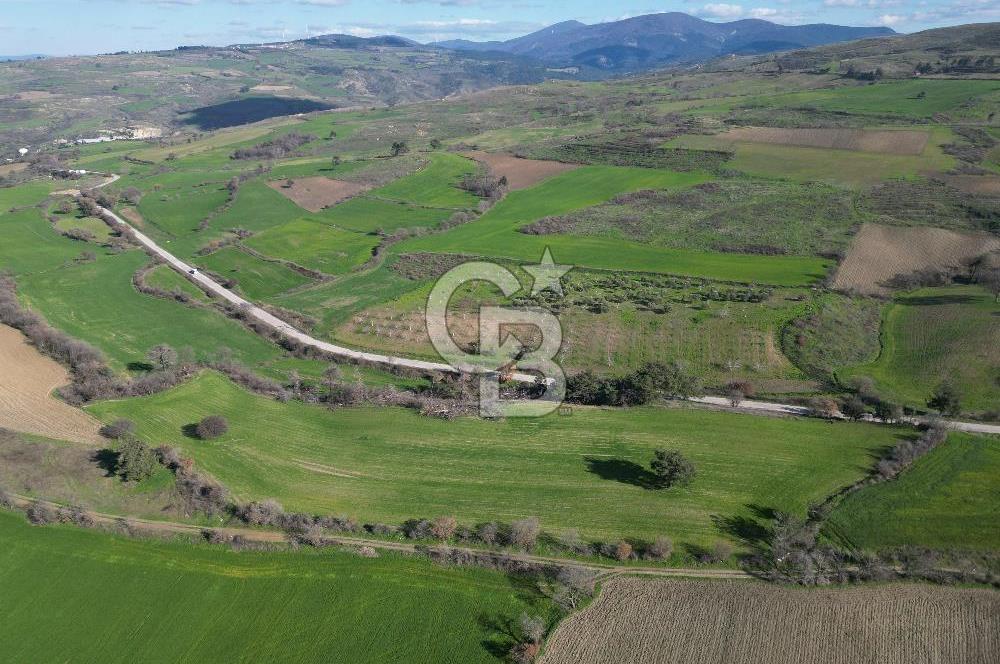 ÇANAKKALE KEMEL KÖYÜNDE BOĞAZ MANZARALI SATILIK 12 DÖNÜM TARLA
