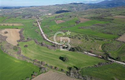 ÇANAKKALE KEMEL KÖYÜNDE BOĞAZ MANZARALI SATILIK 12 DÖNÜM TARLA