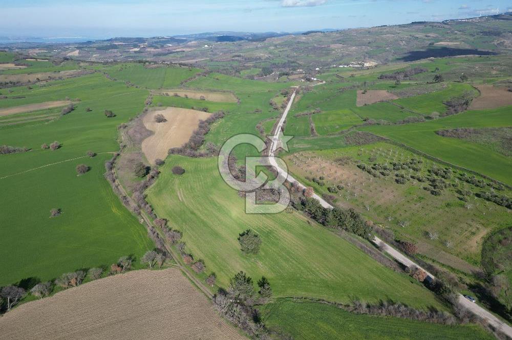 ÇANAKKALE KEMEL KÖYÜNDE BOĞAZ MANZARALI SATILIK 12 DÖNÜM TARLA