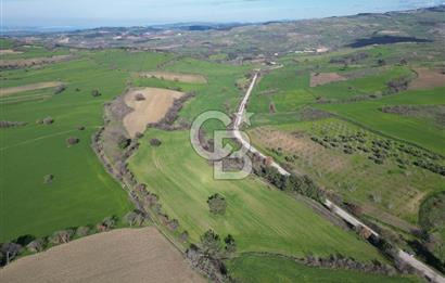 ÇANAKKALE KEMEL KÖYÜNDE BOĞAZ MANZARALI SATILIK 12 DÖNÜM TARLA