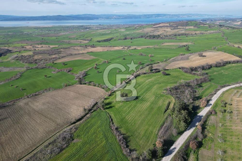 ÇANAKKALE KEMEL KÖYÜNDE BOĞAZ MANZARALI SATILIK 12 DÖNÜM TARLA