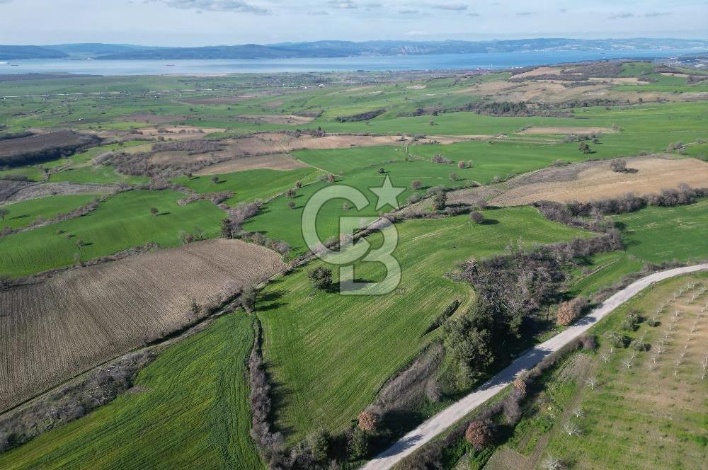 ÇANAKKALE KEMEL KÖYÜNDE BOĞAZ MANZARALI SATILIK 12 DÖNÜM TARLA
