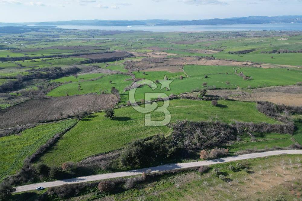 ÇANAKKALE KEMEL KÖYÜNDE BOĞAZ MANZARALI SATILIK 12 DÖNÜM TARLA