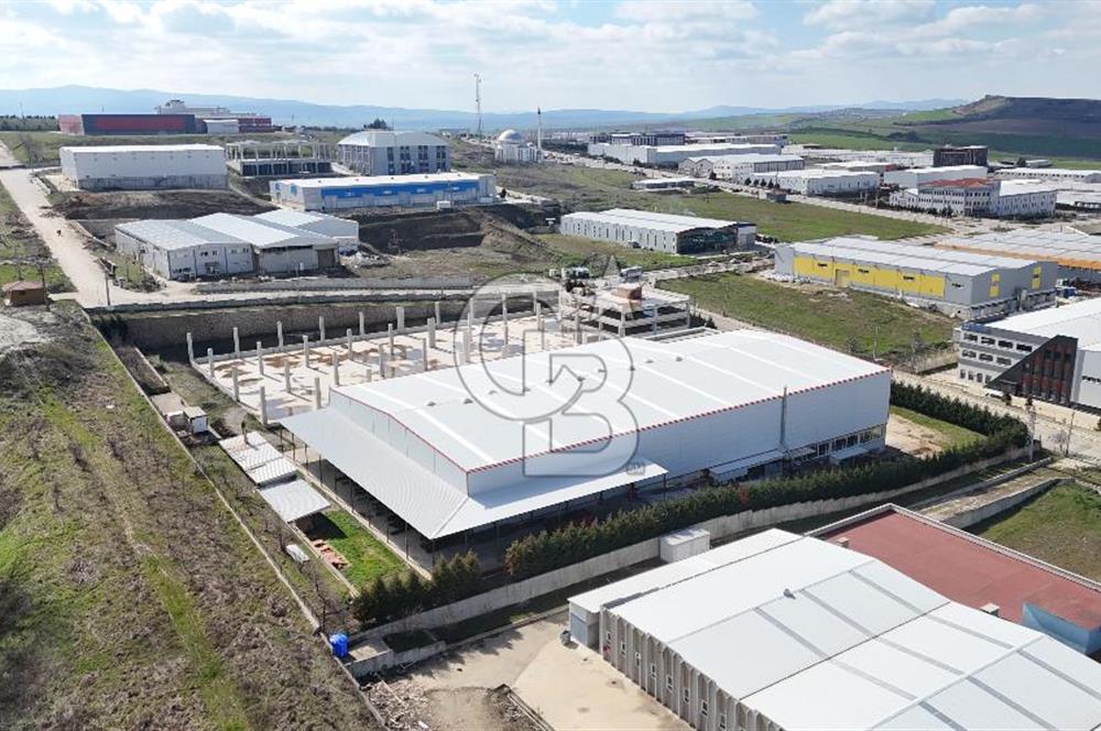 DEVREN SATILIK ÜRETİM TESİSİ & FABRİKA