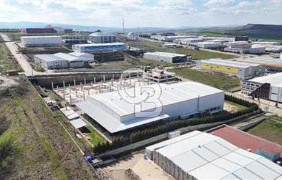 DEVREN SATILIK ÜRETİM TESİSİ & FABRİKA