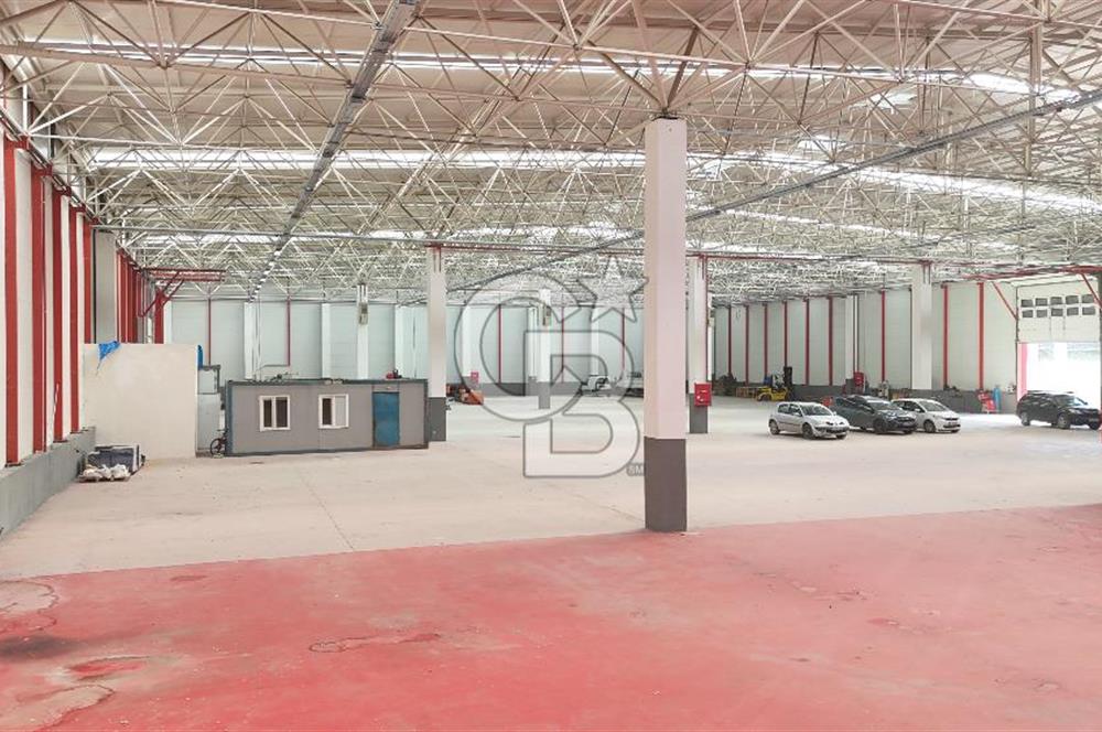 DEVREN SATILIK ÜRETİM TESİSİ & FABRİKA