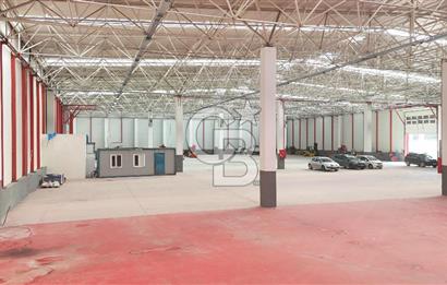 DEVREN SATILIK ÜRETİM TESİSİ & FABRİKA