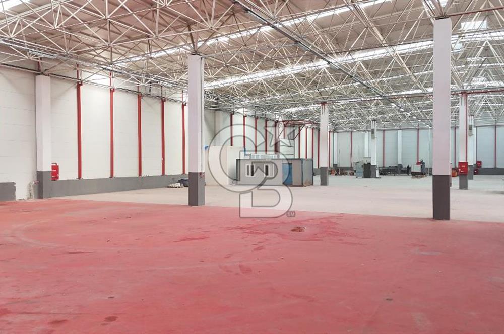 DEVREN SATILIK ÜRETİM TESİSİ & FABRİKA