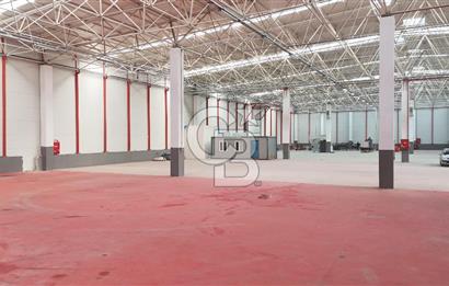 DEVREN SATILIK ÜRETİM TESİSİ & FABRİKA