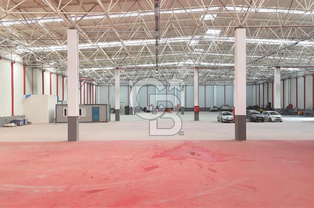 DEVREN SATILIK ÜRETİM TESİSİ & FABRİKA