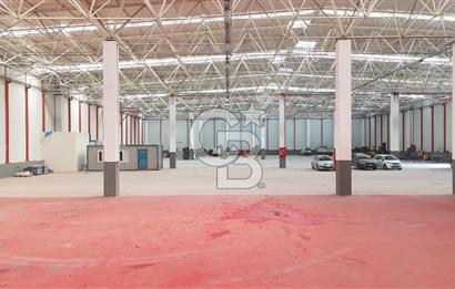 DEVREN SATILIK ÜRETİM TESİSİ & FABRİKA